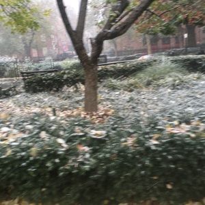 Meet your Posher, Janelle